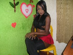 Pantera XXX